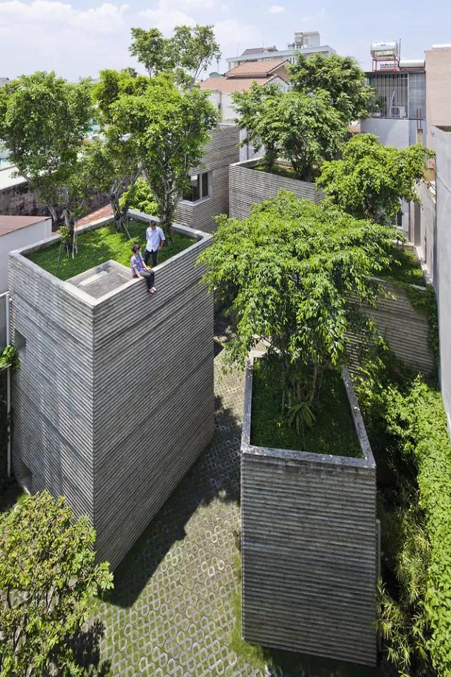 城市绿洲之越南的树之家