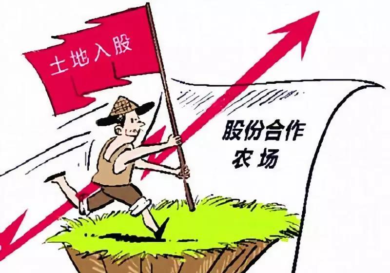 重磅！“土地入股”即将在全国推广