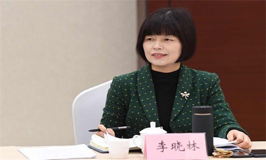 省政协委员李晓林：以“文化+”理念推进特色小镇建设