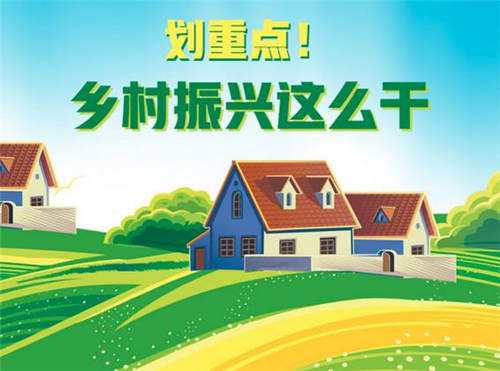 一图读懂乡村振兴项目最全实施流程