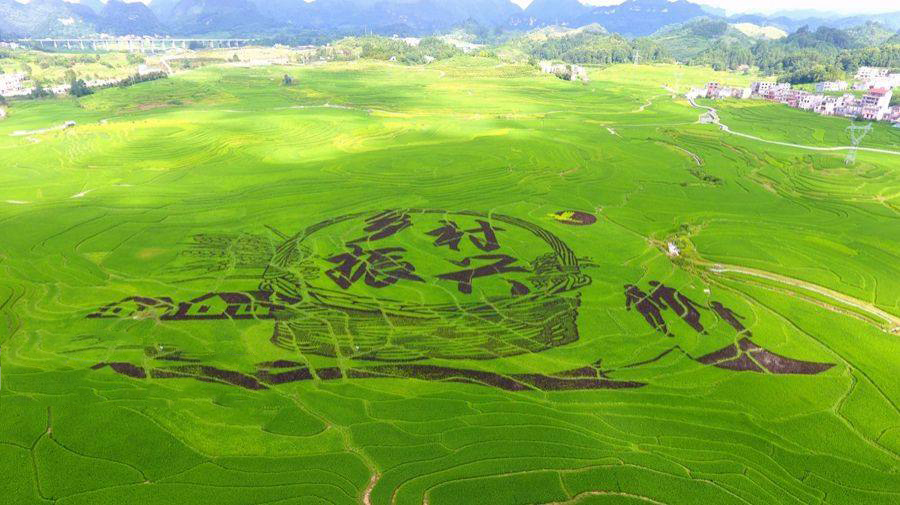 乡村振兴投资分类及思路