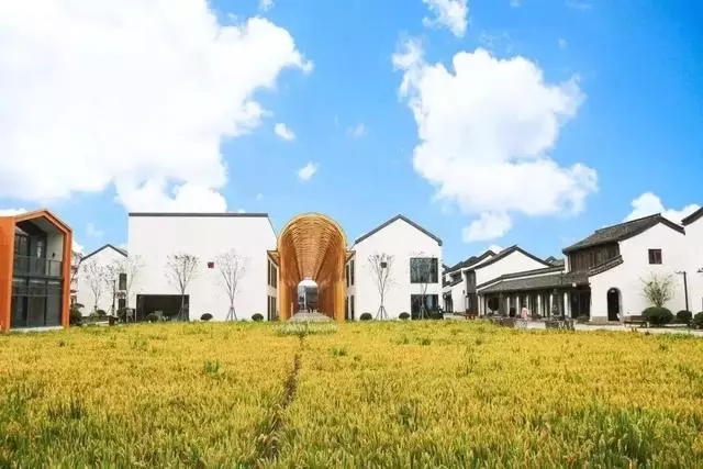土地新法已通过,康养用地重大突破!必将颠覆康养项目商业模式