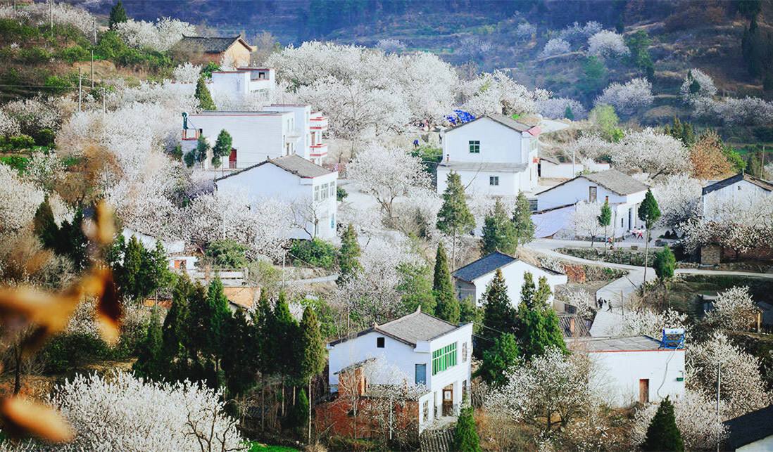 农行1000亿支持全国乡村旅游重点村建设!