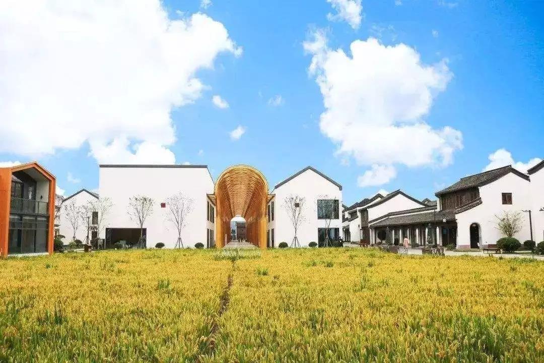 农村集体建设用地可转建设用地,与村集体合作路子好走了!