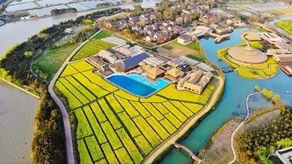 中国乡村旅游开发的最高水平：乌村