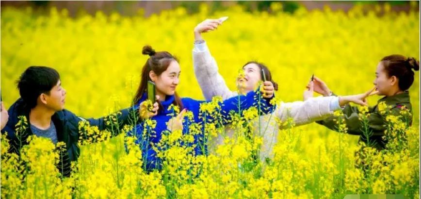 1594879041731159.jpg 1594879041731159.jpg