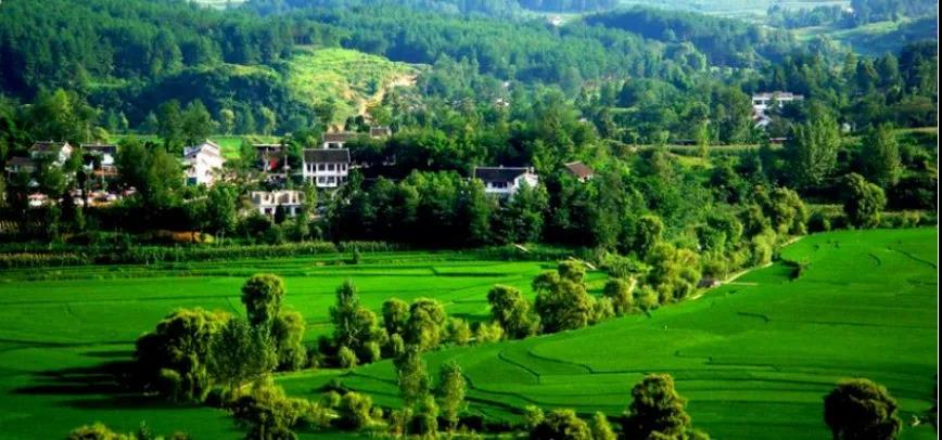 1594879055890911.jpg 1594879055890911.jpg